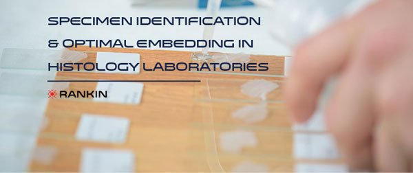 #3 Specimen Identification & Optimal Embedding