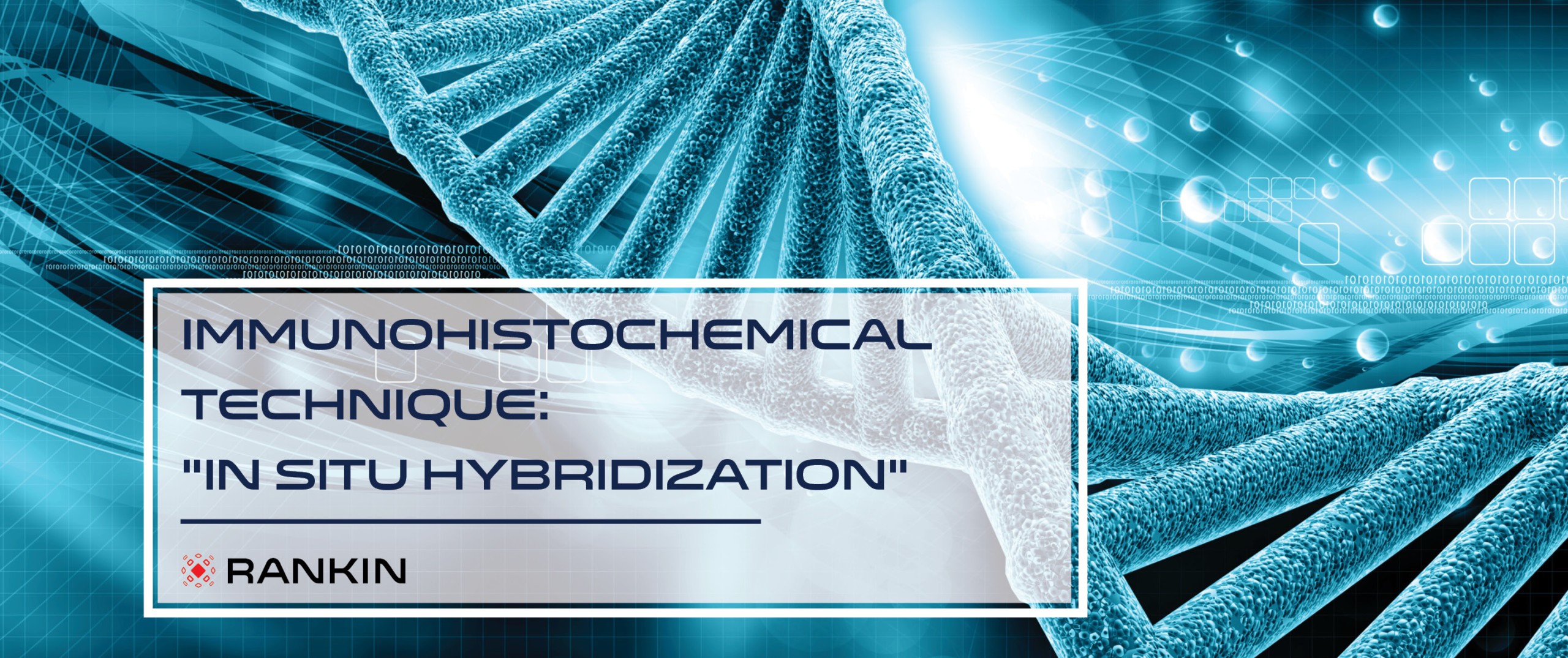 #5: In Situ Hybridization