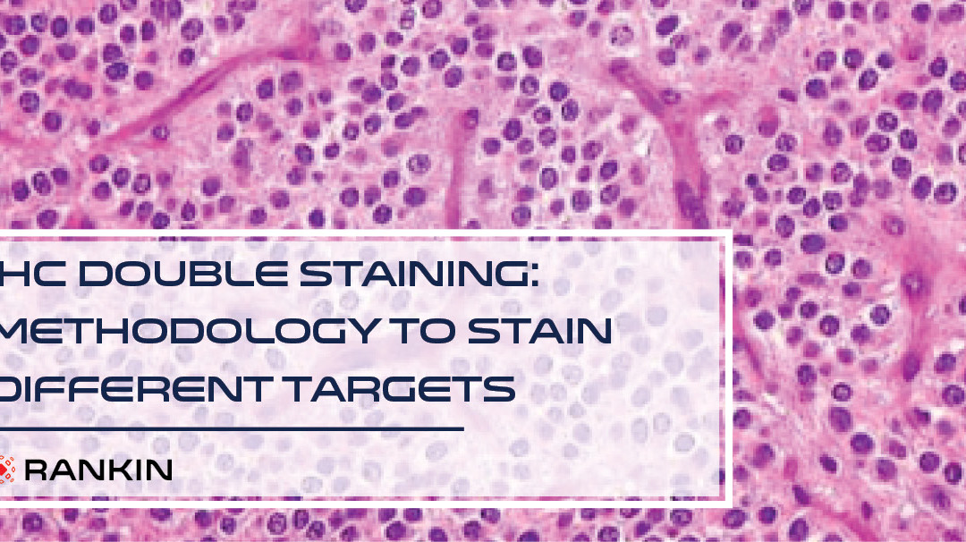 #7 IHC Double Staining