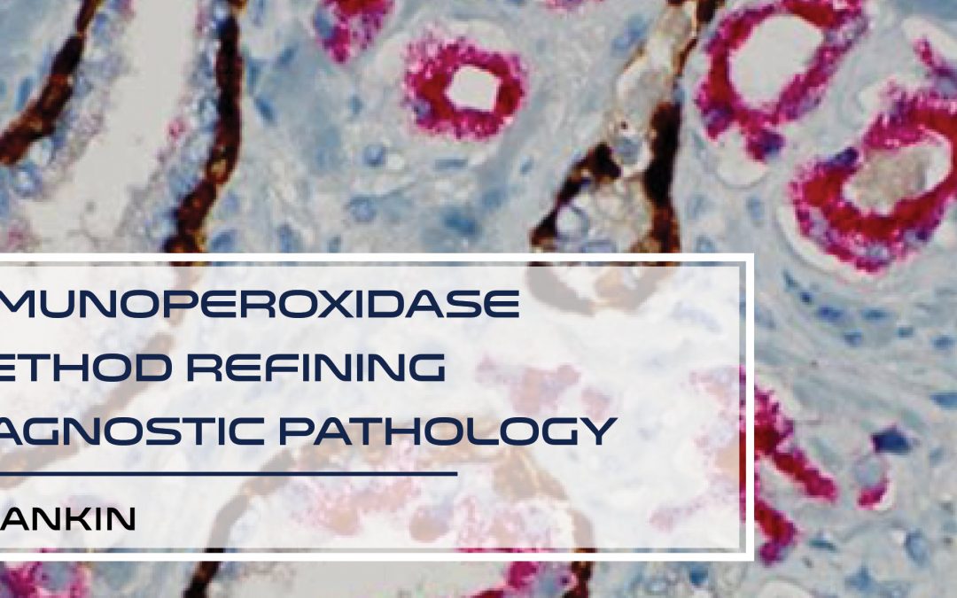 #3: Immunoperoxidase