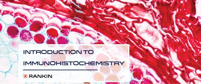 #1 Introduction to Immunohistochemistry